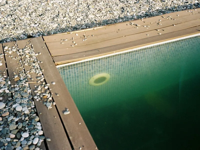 Green algae-filled pool water that needs a green pool cleanup